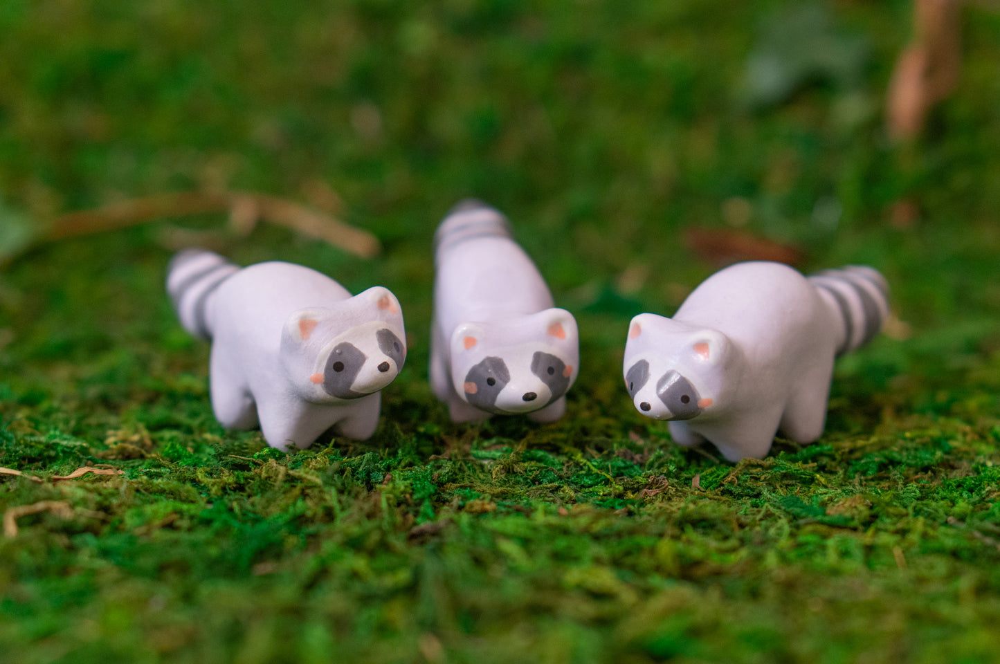Raccoon Mini