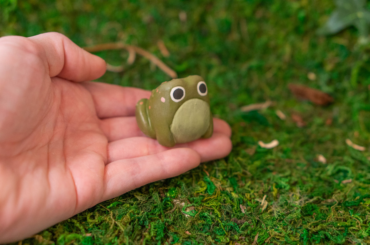 Toad Mini