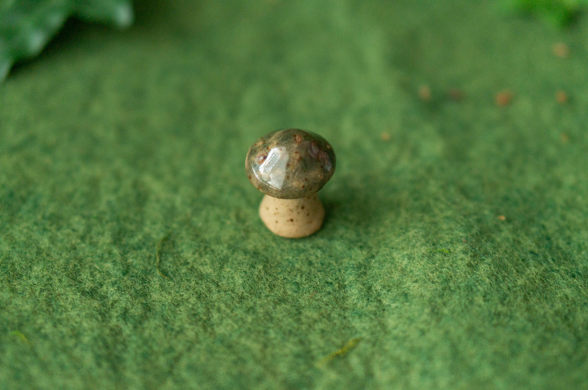 Decorative Mushroom