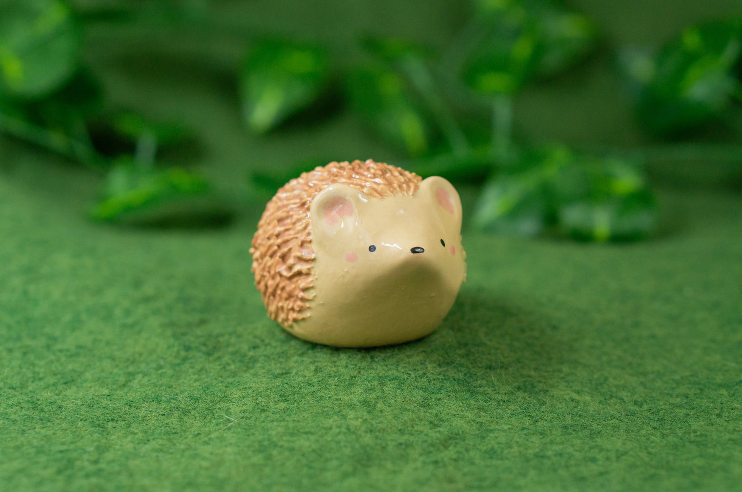 Hedgehog Friend