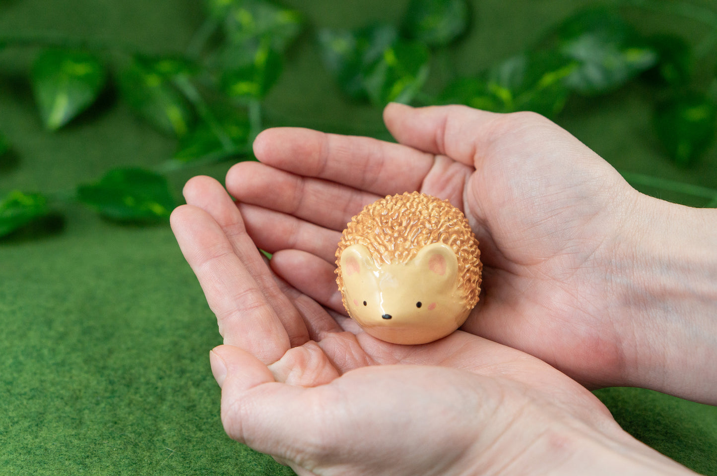 Hedgehog Friend