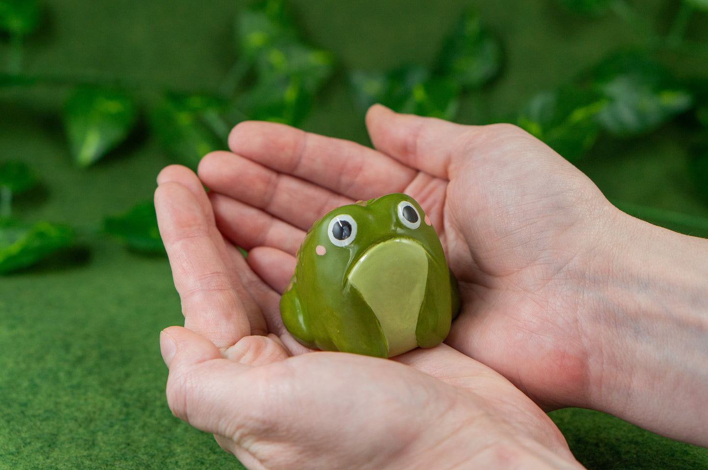 Toad Friend