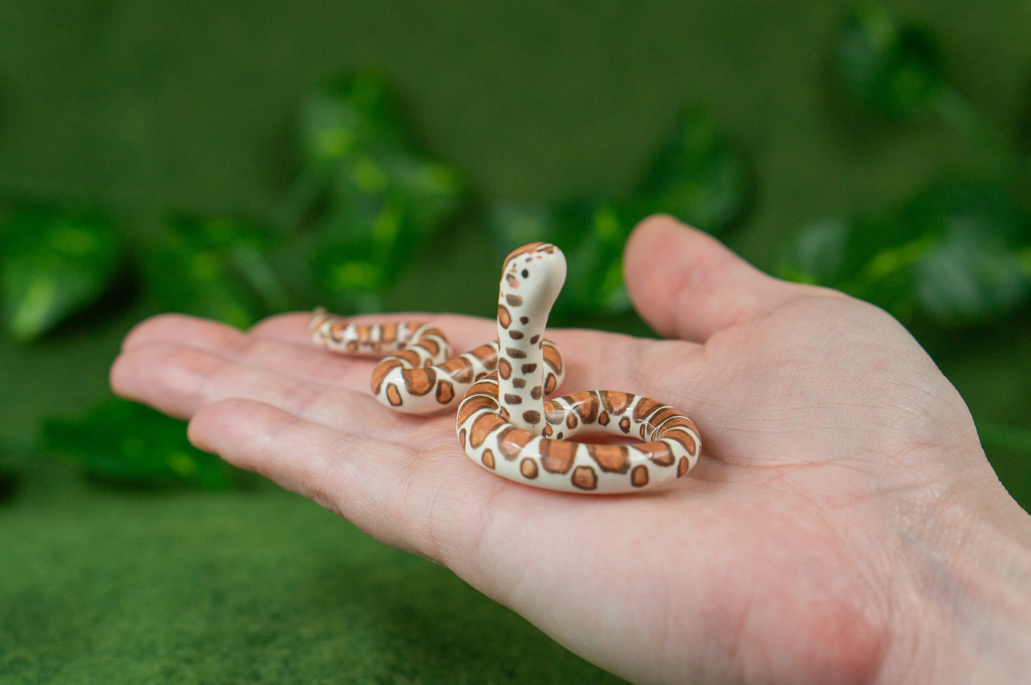 Eastern Milk Snake Mini