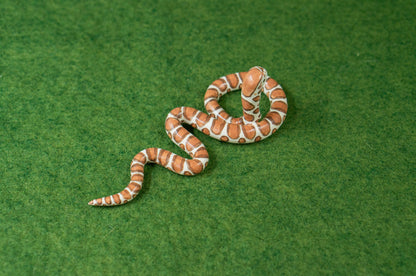 Eastern Milk Snake Mini