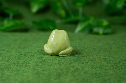 Frog Mini