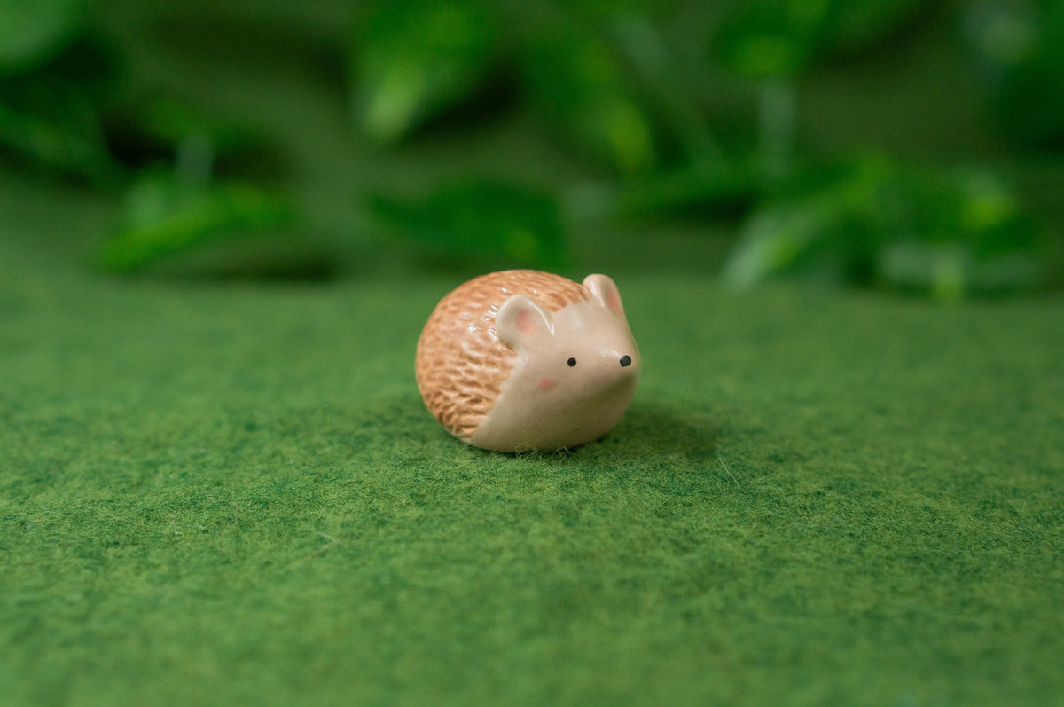 Hedgehog Mini