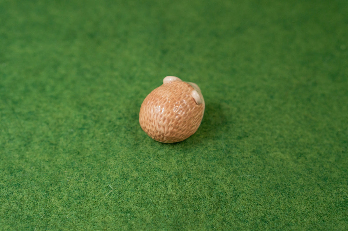 Hedgehog Mini