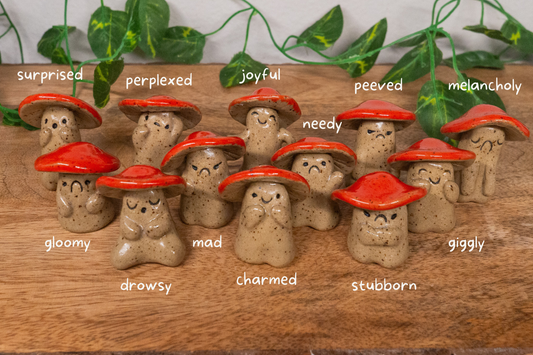 Shroom Buddy