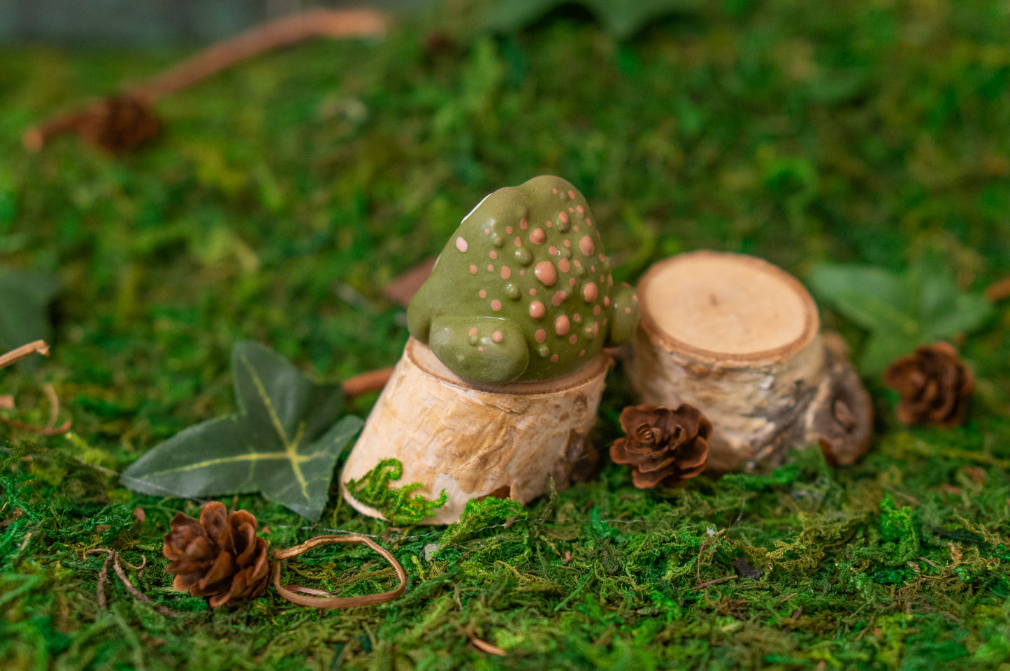 Toad Mini