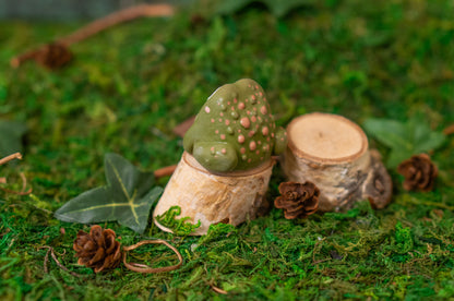 Toad Mini