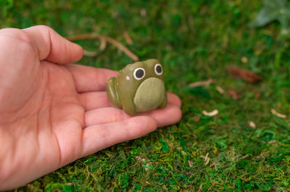 Toad Mini