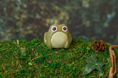 Toad Mini