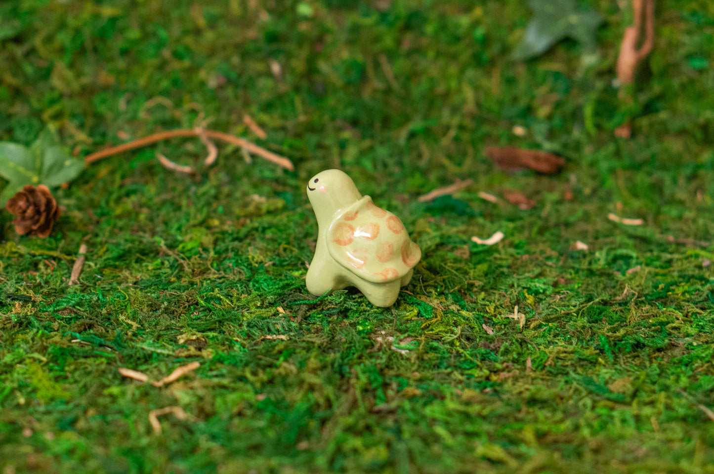 Tortoise Mini