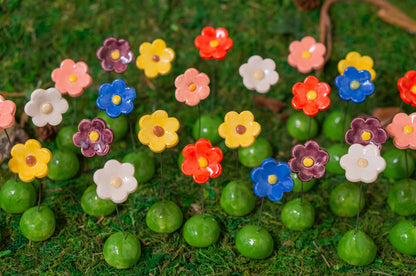 Tiny Desk Flower