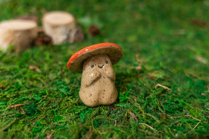 Shroom Buddy
