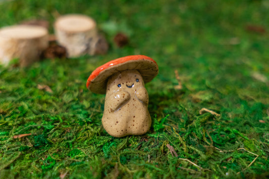 Shroom Buddy