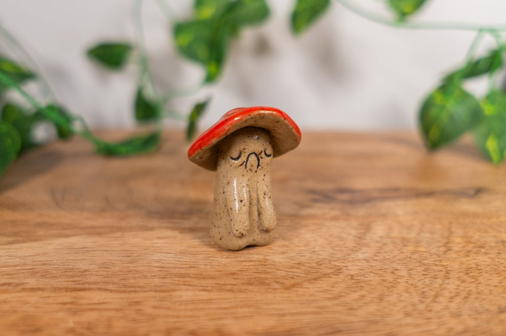Shroom Buddy