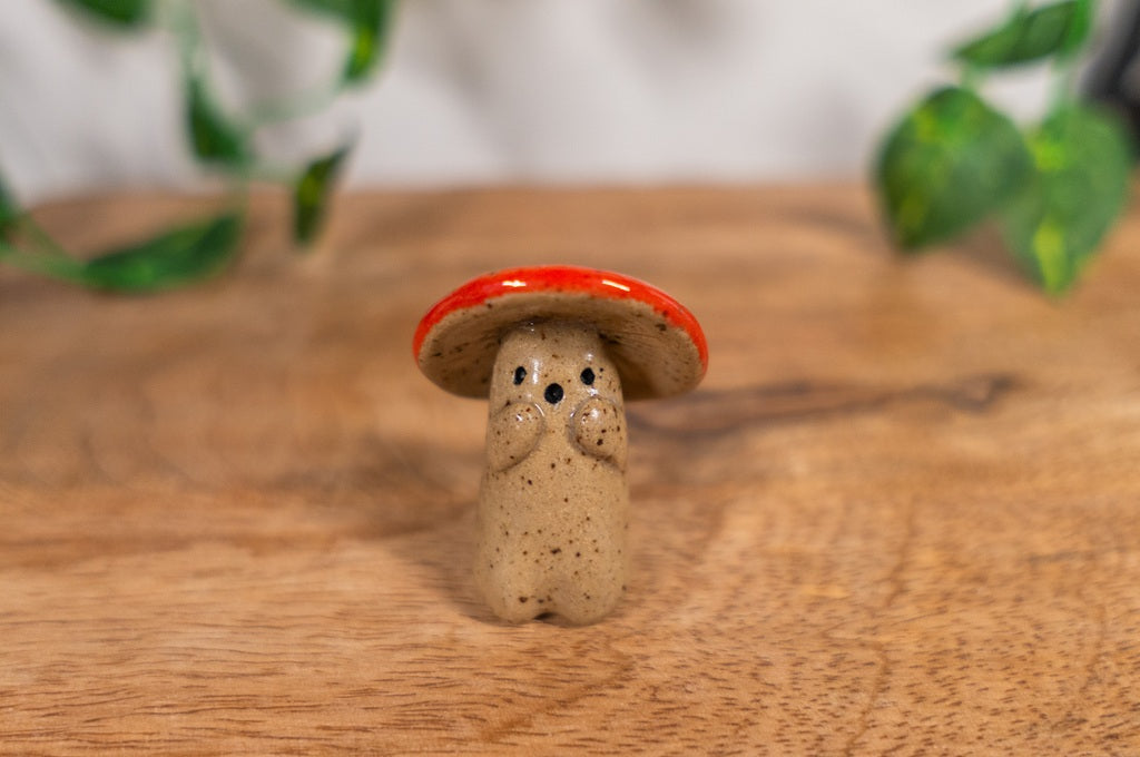 Shroom Buddy