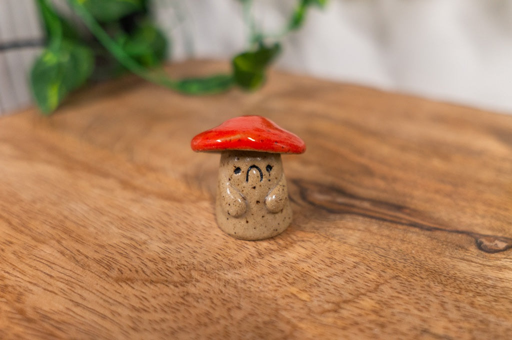 Shroom Buddy