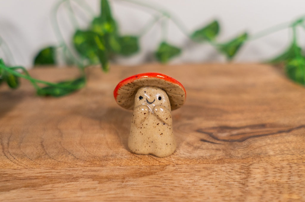 Shroom Buddy