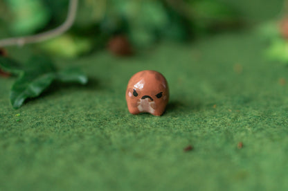 Teeny Rain Frog
