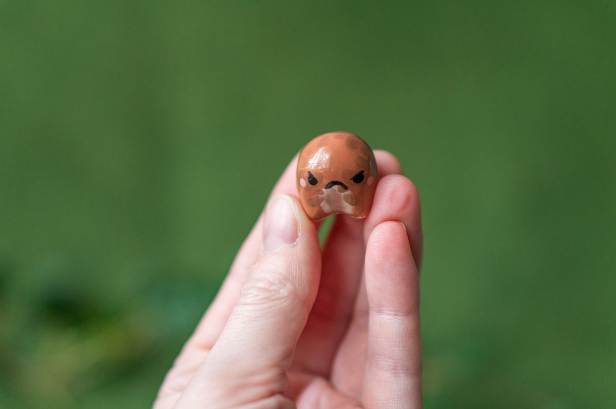 Teeny Rain Frog