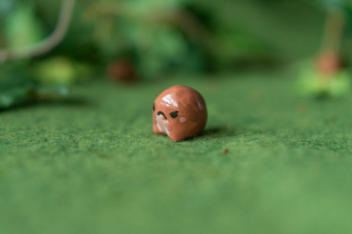 Teeny Rain Frog