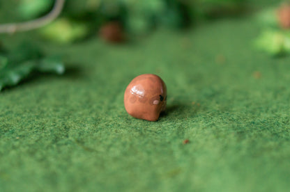 Teeny Rain Frog