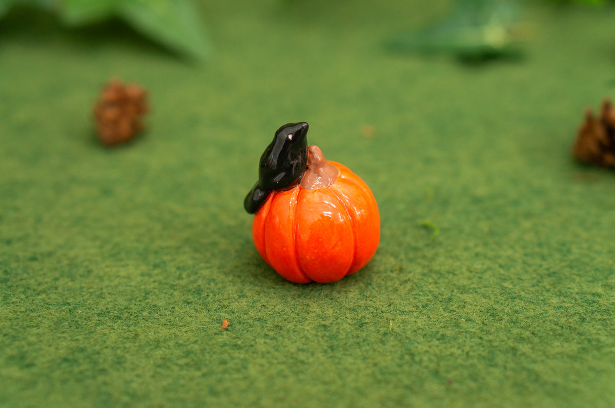 Mini Pumpkin Pals