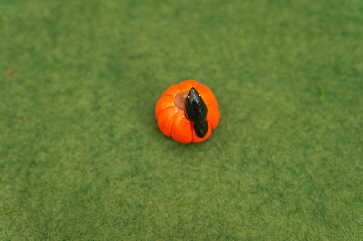Mini Pumpkin Pals