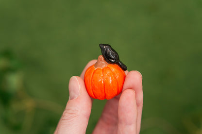 Mini Pumpkin Pals