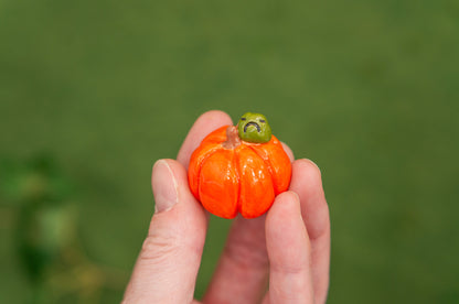 Mini Pumpkin Pals