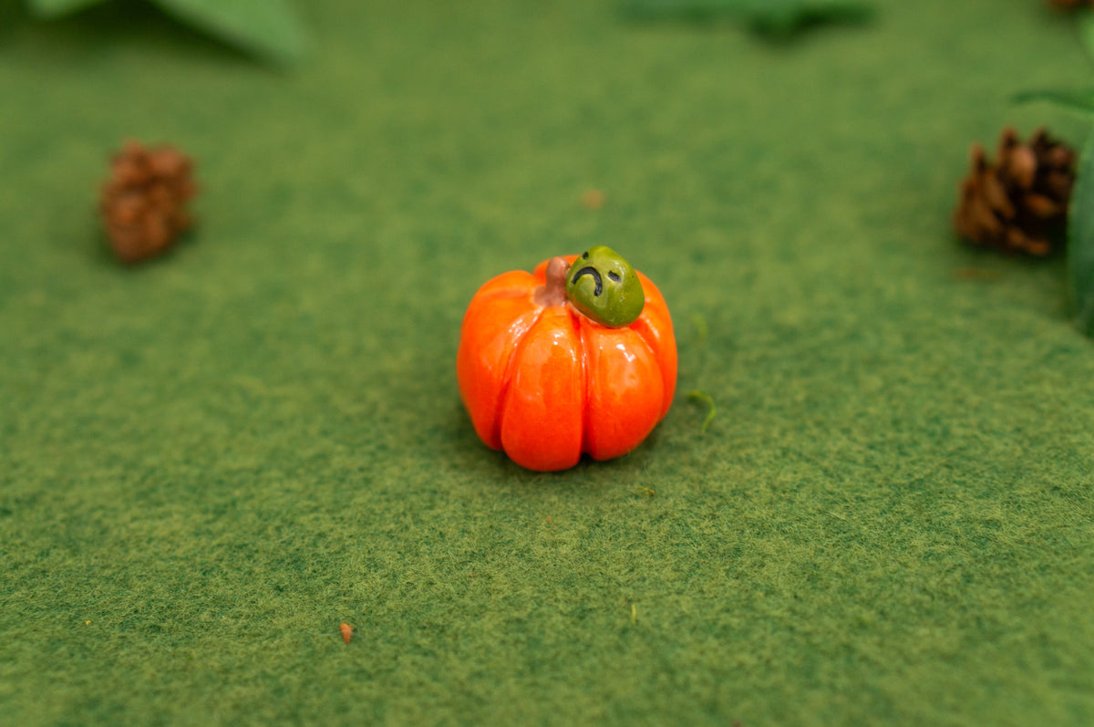Mini Pumpkin Pals