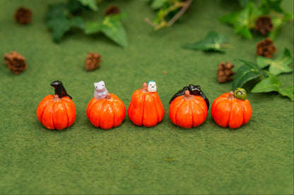 Mini Pumpkin Pals