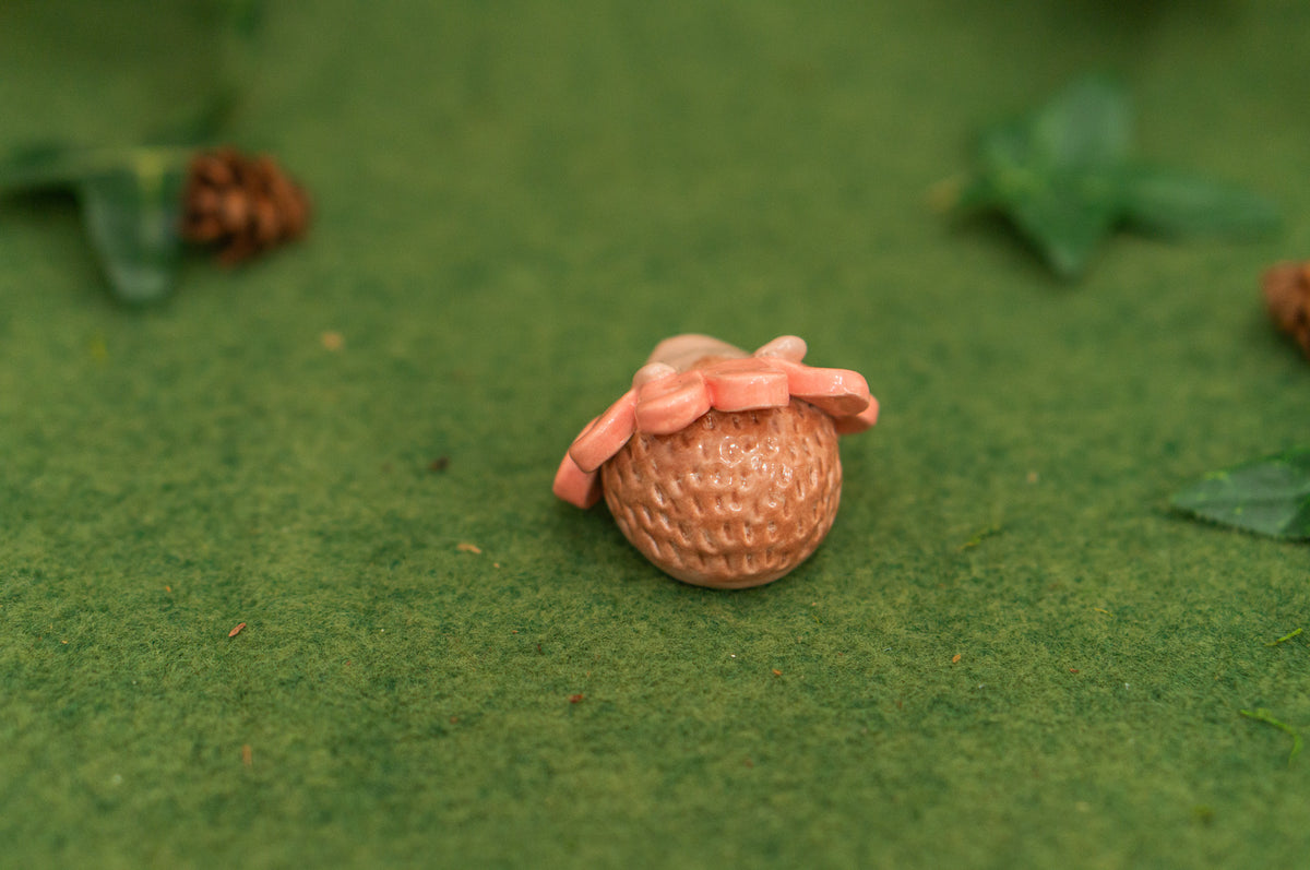 Flower Hedgehog Mini